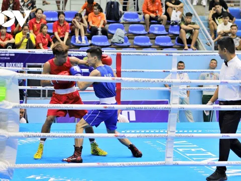 Giải vô địch Boxing các đội mạnh toàn quốc 2024: 363 vận động viên tham gia tranh tài