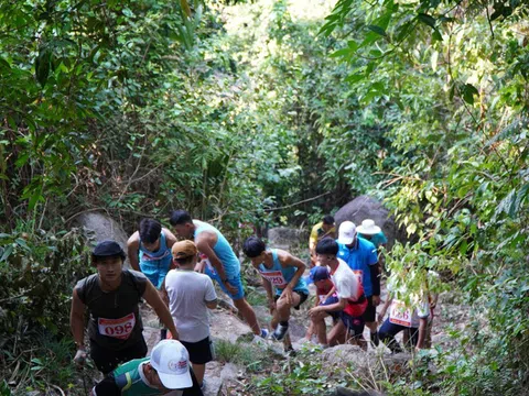 Huyện Tuy An giành giải nhất toàn đoàn giải Việt dã chinh phục núi Đá Bia năm 2024