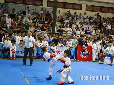 Hơn 500 vận động viên tranh tài tại giải vô địch trẻ Karate tỉnh Hòa Bình mở rộng năm 2024