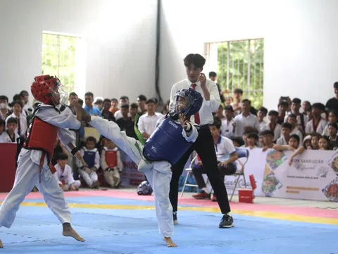 Hơn 200 võ sĩ tranh tài giải vô địch Taekwondo tỉnh Gia Lai năm 2024