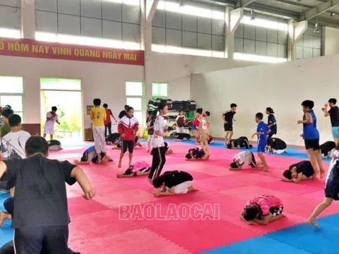 Lào Cai có 210 vận động viên tham dự Hội khỏe Phù Đổng toàn quốc lần thứ X năm 2024