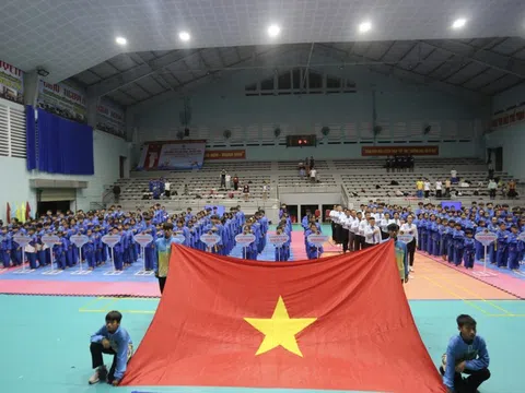 Giải vô địch Vovinam tỉnh Gia Lai năm 2024