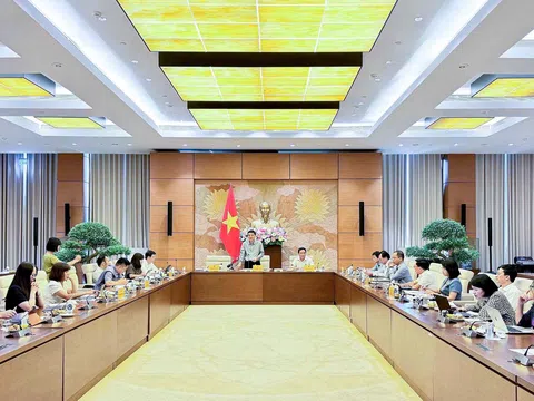 Thẩm tra sơ bộ dự án Luật sửa đổi, bổ sung một số điều của Luật Quảng cáo