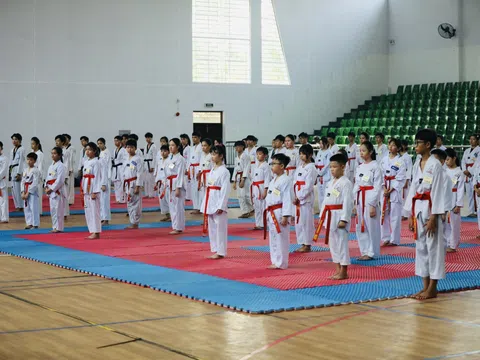 Liên đoàn Teakwondo Bình Dương tổ chức kỳ thi thăng đẳng năm 2024