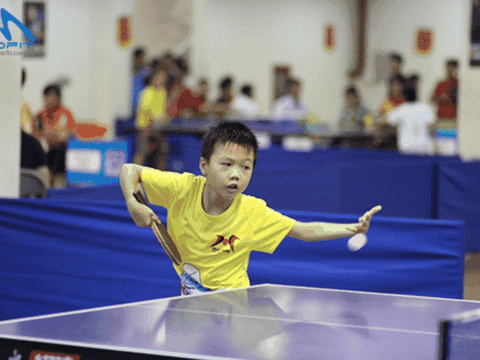 Bạn Linh Đan - ở Thái Bình hỏi: Xin cho biết, nên cho trẻ học chơi bóng bàn từ lúc mấy tuổi là phù hợp?