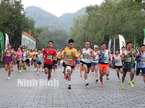 Hơn 5.000 vận động viên tham gia giải Chạy Tràng An Marathon 2024