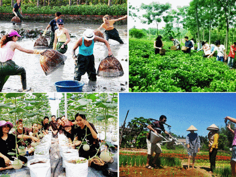 Thúc đẩy đổi mới sáng tạo, phát triển du lịch nông thôn bền vững