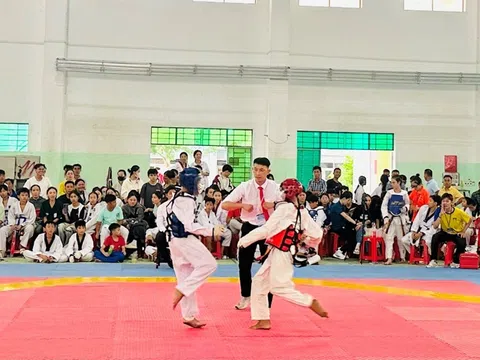 Kiên Giang tăng cường quản lý việc tập luyện, thi thăng cấp đai Taekwondo trên địa bàn tỉnh