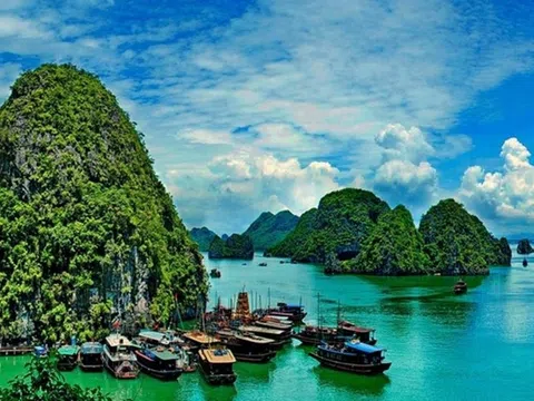 Hoàn thiện dự thảo Nghị định về quản lý, bảo vệ và phát huy giá trị di sản văn hóa