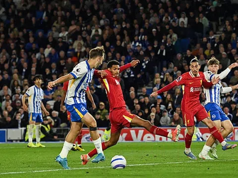 Premier League: Brighton ngược dòng kịch tính