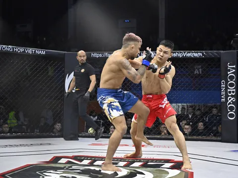MMA Việt Nam vươn tầm thế giới