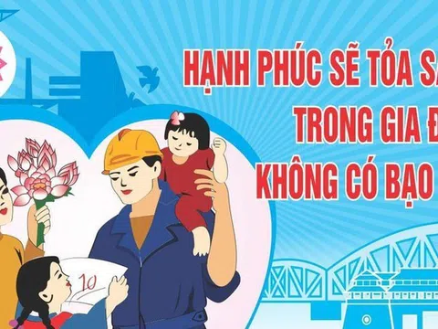 Triển khai thi hành Nghị định quy định Cơ sở dữ liệu về phòng, chống bạo lực gia đình