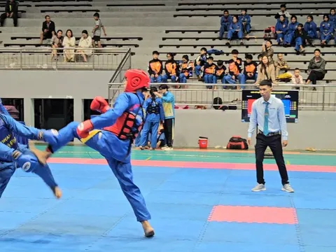 Giải vô địch Vovinam tỉnh Gia Lai năm 2025