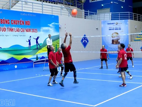 Giải Bóng chuyền hơi người cao tuổi tỉnh Lào Cai năm 2025
