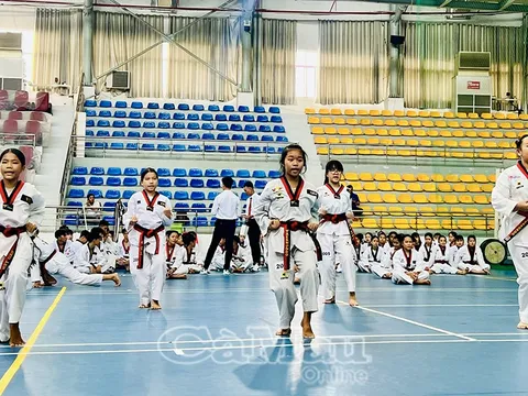 Gần 300 võ sinh thi thăng đẳng Taekwondo năm 2025
