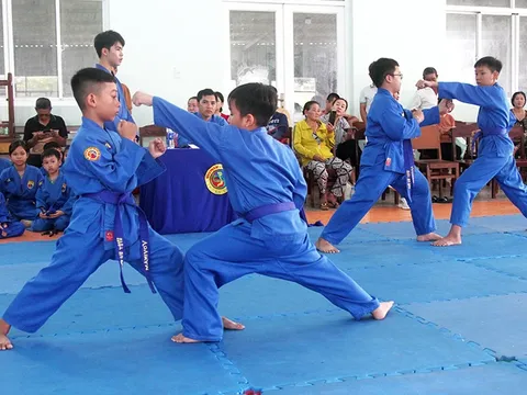 Liên đoàn Vovinam - Việt Võ Đạo thành phố Cần Thơ thi thăng cấp sơ đẳng Vovinam 