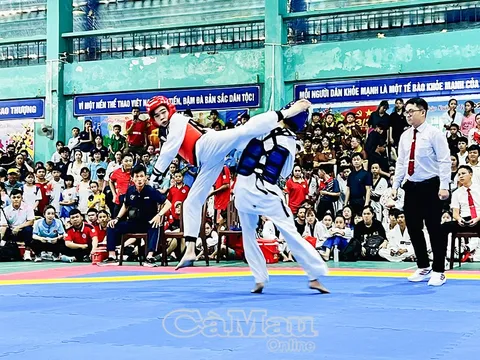 Gần 500 võ sinh tranh tài Giải Taekwondo các Câu lạc bộ tỉnh Cà Mau năm 2025