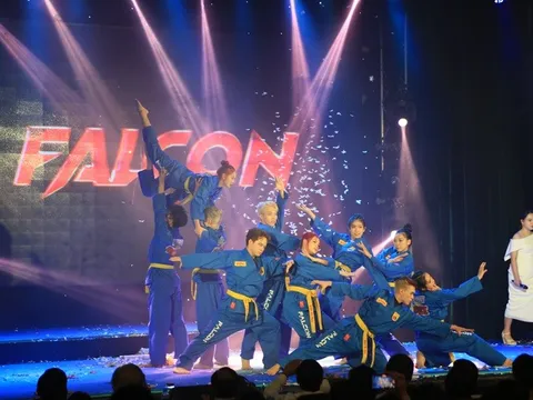 Bùng nổ cảm xúc tại Vòng chung kết cuộc thi Võ nhạc Vovinam Dance 2025
