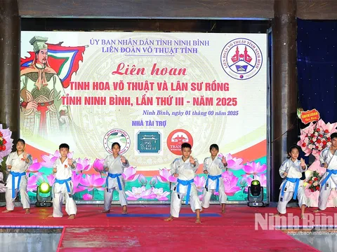 Liên hoan tinh hoa võ thuật và Lân Sư Rồng tỉnh Ninh Bình lần thứ III