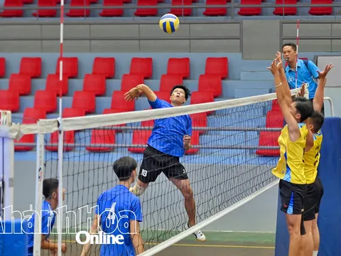 Hơn 70 vận động viên tranh tài Giải Bóng chuyền tỉnh Khánh Hòa năm 2025