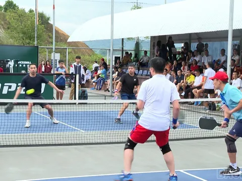 Giải vô địch Pickleball các lứa tuổi tỉnh Lào Cai năm 2025