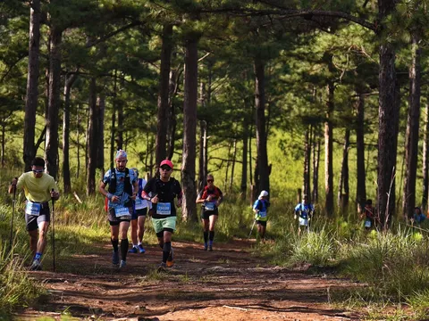 Hoãn giải Lâm Đồng Trail 2025 vì bão Kalmaegi