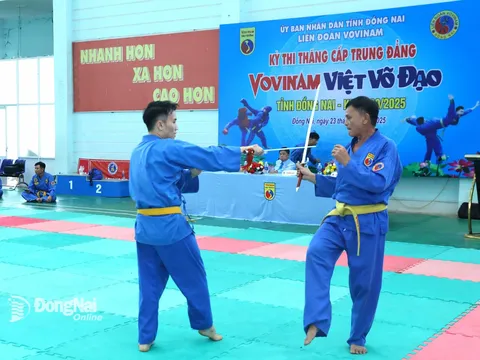 Đồng Nai tổ chức thi thăng cấp Trung đẳng Vovinam Việt võ đạo cho 131 thí sinh  