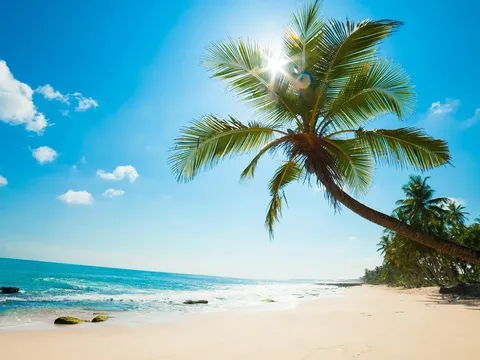 Tổ chức đón khách du lịch quốc tế thứ 20 triệu tại Sân bay quốc tế Phú Quốc 