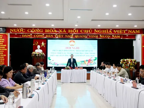 Phường Thanh Khê phát huy vai trò thể dục, thể thao 