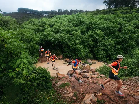 Khởi động Giải chạy bộ địa hình Vietnam Highlands Trail - Lâm Đồng 2025