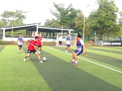 Hội thao Sinh viên tỉnh Vĩnh Long năm 2026