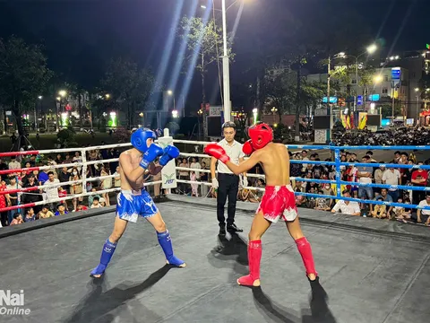 Giải vô địch các Câu lạc bộ Kickboxing tỉnh Đồng Nai năm 2026