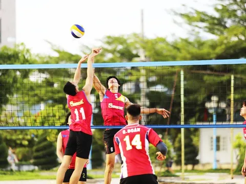 Khánh Hoà phát triển thể thao thành tích cao theo hướng chuyên nghiệp, hiện đại