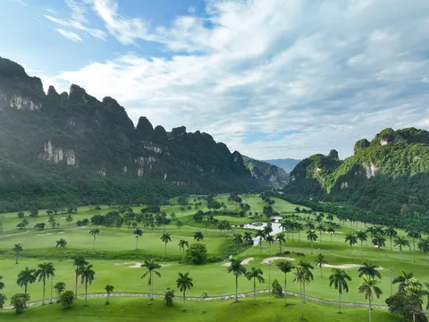 Nhiều golfer hàng đầu góp mặt tại Phoenix Reborn Golf Tournament 2026