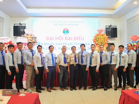 Đại hội đại biểu Liên đoàn Vovinam tỉnh Gia Lai lần thứ I, nhiệm kỳ 2026-2031