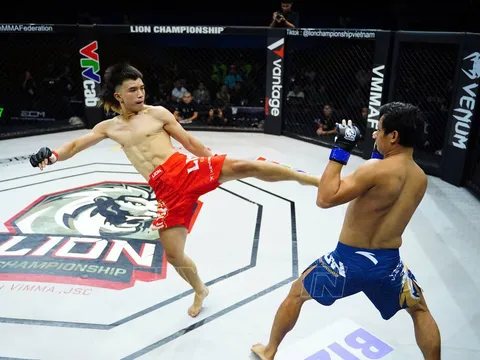 Hơn 300 vận động viên tranh tài tại Giải vô địch các Câu lạc bộ Võ thuật Tổng hợp quốc gia năm 2026