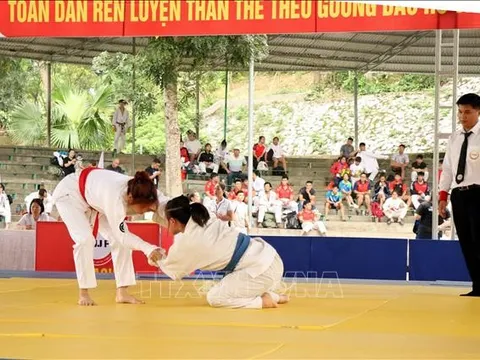 Khởi tranh Giải vô địch các Câu lạc bộ Ju-jitsu quốc gia năm 2026
