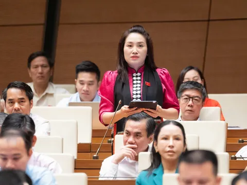 Đưa văn hóa từ lĩnh vực đầu tư thành động lực phát triển bền vững