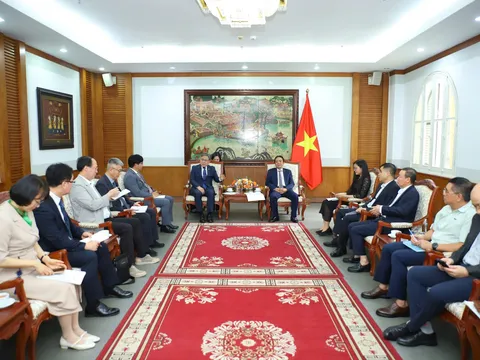 Đẩy mạnh hợp tác bảo tồn di sản giữa Việt Nam - Hàn Quốc