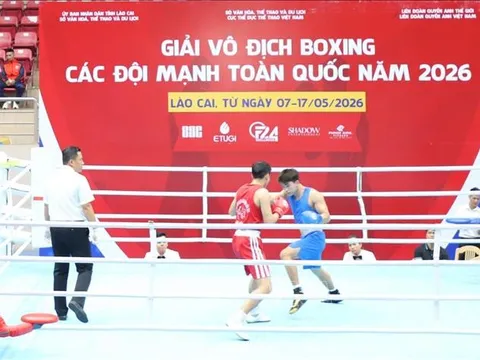 Giải vô địch Boxing các đội mạnh toàn quốc 2026: 312 vận động viên tham gia tranh tài
