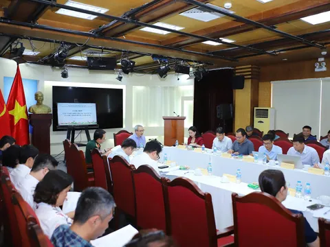 Rà soát, hoàn thiện để bảo đảm tính thống nhất của hệ thống pháp luật và tính khả thi khi triển khai