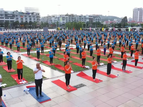 Quảng Ninh tổ chức Ngày Quốc tế Yoga năm 2026 với sự tham gia của hơn 3.000 người