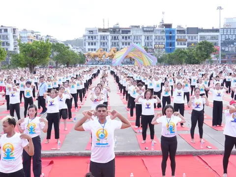 Quảng Ninh: Hơn 3.000 người tham gia Ngày Quốc tế Yoga  năm 2026 