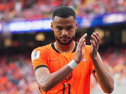 Gakpo chịu biến cố gia đình, huấn luyện viên Scotland từ chức sau thất bại tại World Cup