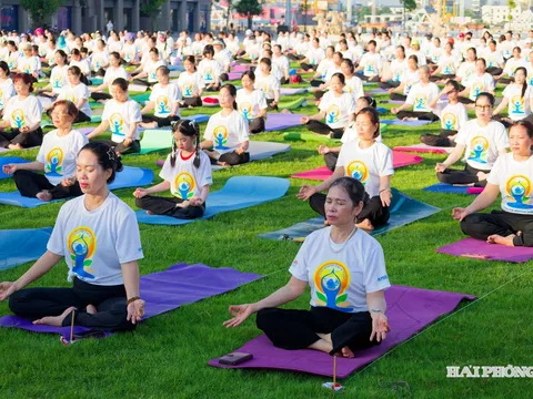 Hải Phòng gần 800 hội viên tham gia Ngày Quốc tế Yoga 2026 