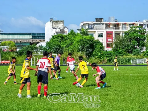 Giải Bóng đá Thiếu niên, Nhi đồng tỉnh Cà Mau năm 2026