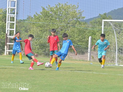 15 đội bóng tranh tài Giải Bóng đá U13 tỉnh Khánh Hòa năm 2026  