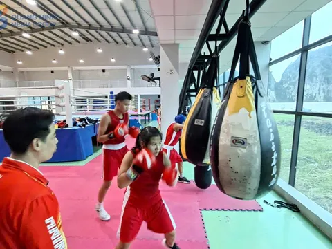 Boxing Quảng Ninh vượt khó 