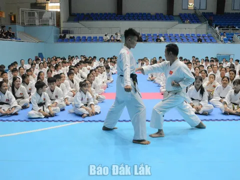 Kỳ thi thăng đẳng quốc gia môn Karate năm 2026