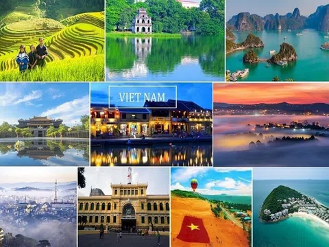 Việt Nam đón 1,23 triệu khách quốc tế trong tháng 11